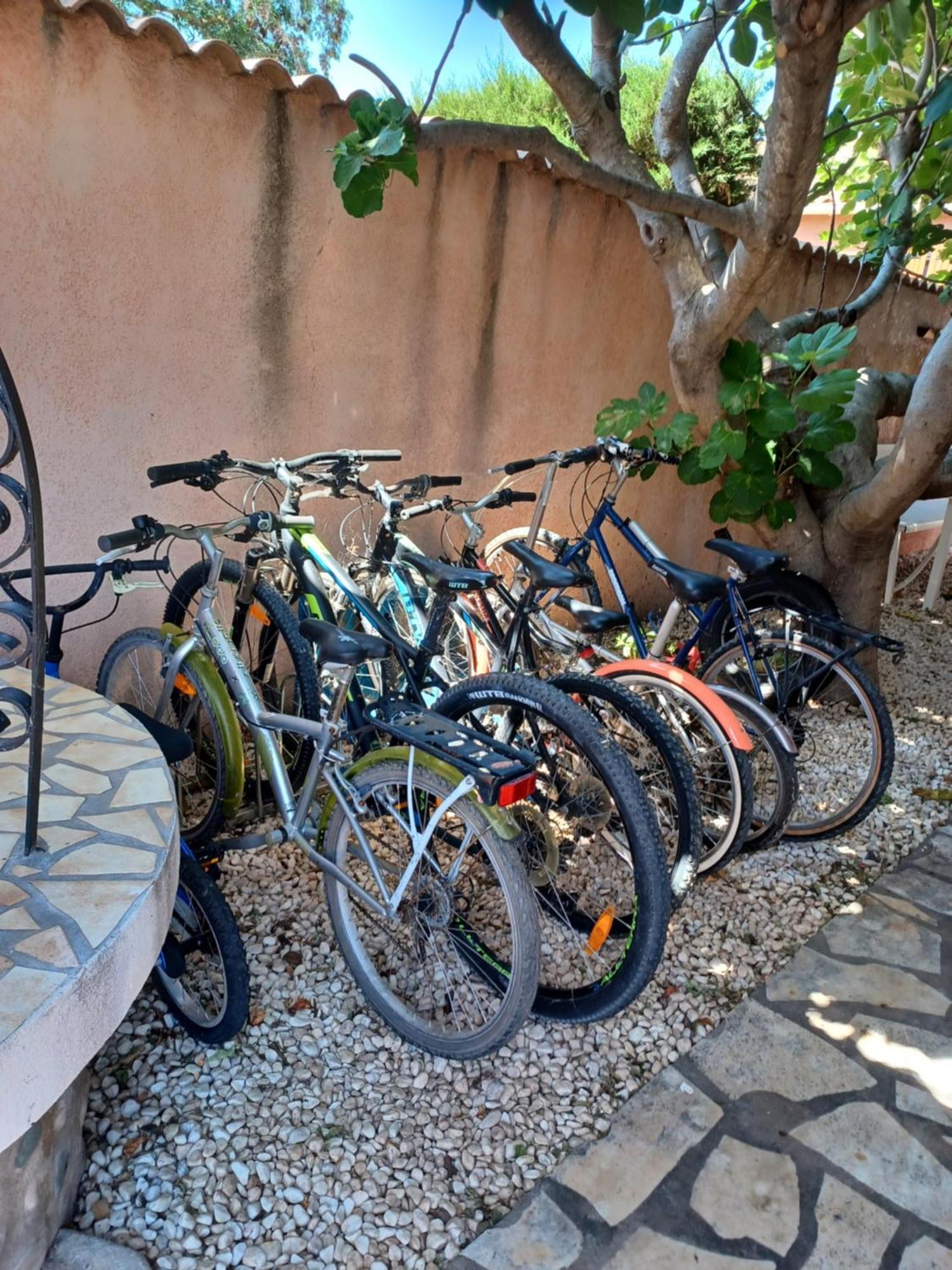 Le Clos D'Amandine Appartement Sallèles-dʼAude Buitenkant foto